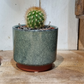 Malibu Succulent Pot